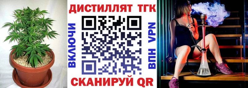где купить   Пустошка  ТГК THC oil 