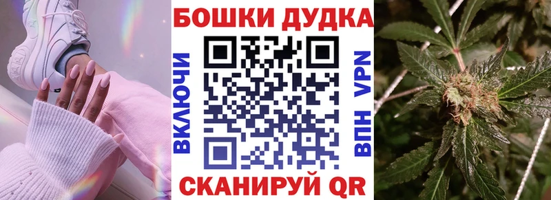 закладка  Пустошка  Конопля индика 